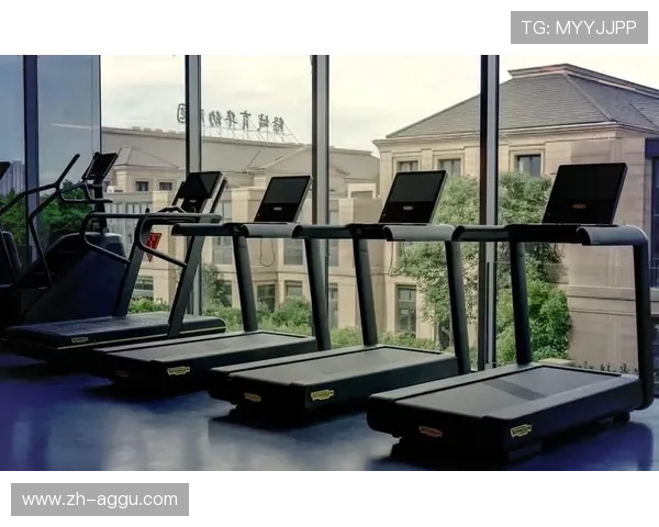 阳锐健身器材品牌特点与优势：为何这个品牌成为市场的领先者？