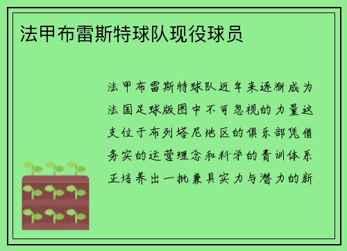 法甲布雷斯特球队现役球员